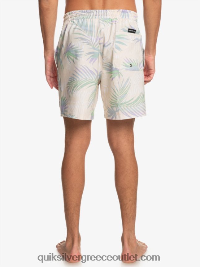 μείγμα surfsilk 17 βόλια Quiksilver άνδρες 66LP84635 σημύδα