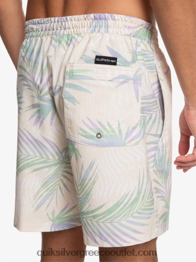 μείγμα surfsilk 17 βόλια Quiksilver άνδρες 66LP84635 σημύδα