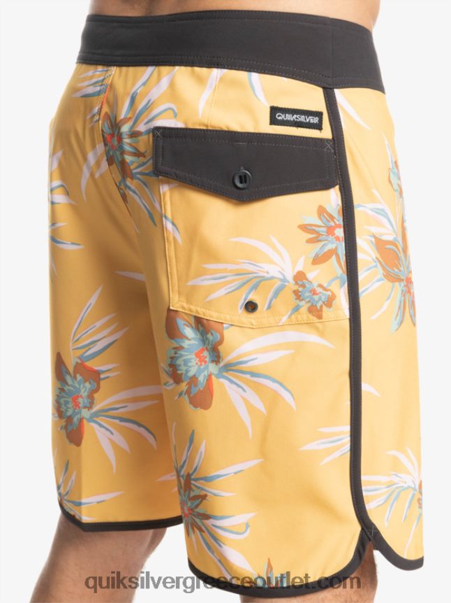 όστρακο surfsilk 19 boardshort Quiksilver άνδρες 66LP841491 ώχρα
