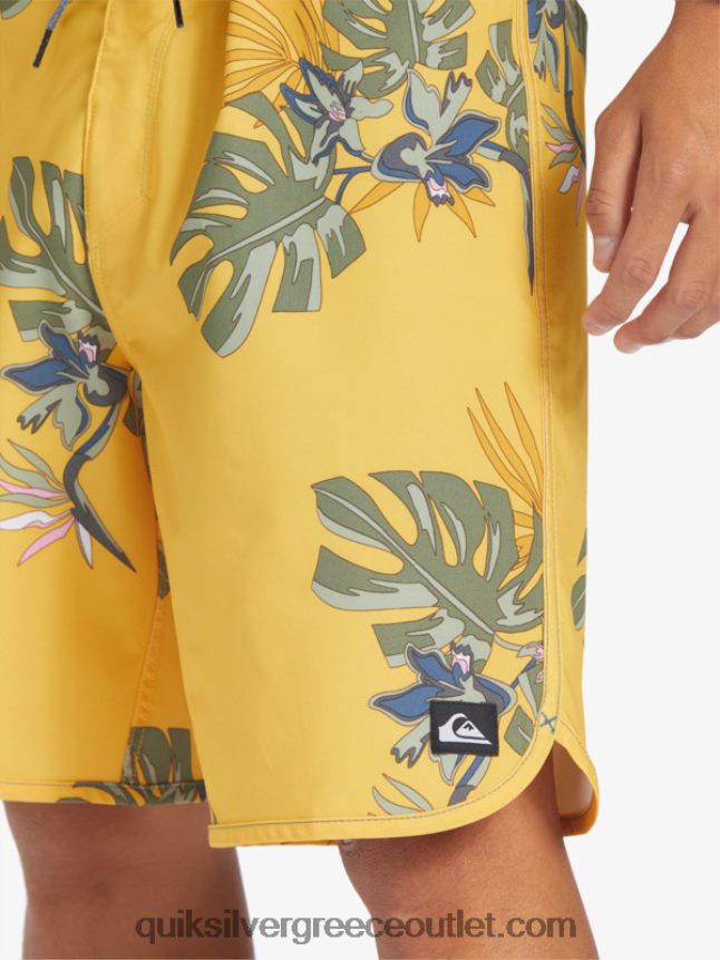 όστρακο surfsilk 19 boardshort Quiksilver άνδρες 66LP84214 ΚΡΟΚΟΣ ΑΥΓΟΥ