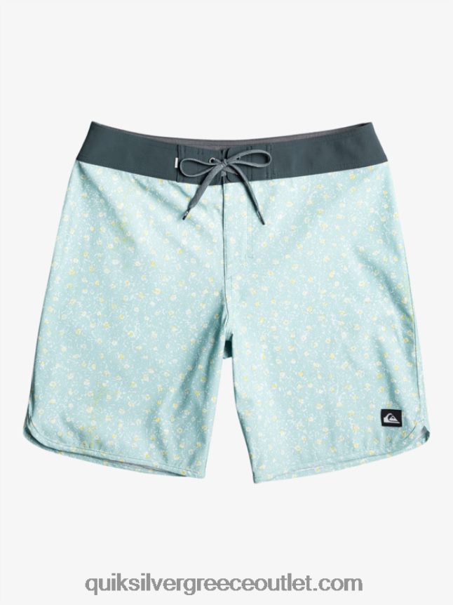 όστρακο surfsilk 19 boardshort Quiksilver άνδρες 66LP84220 μπλε του ουρανού