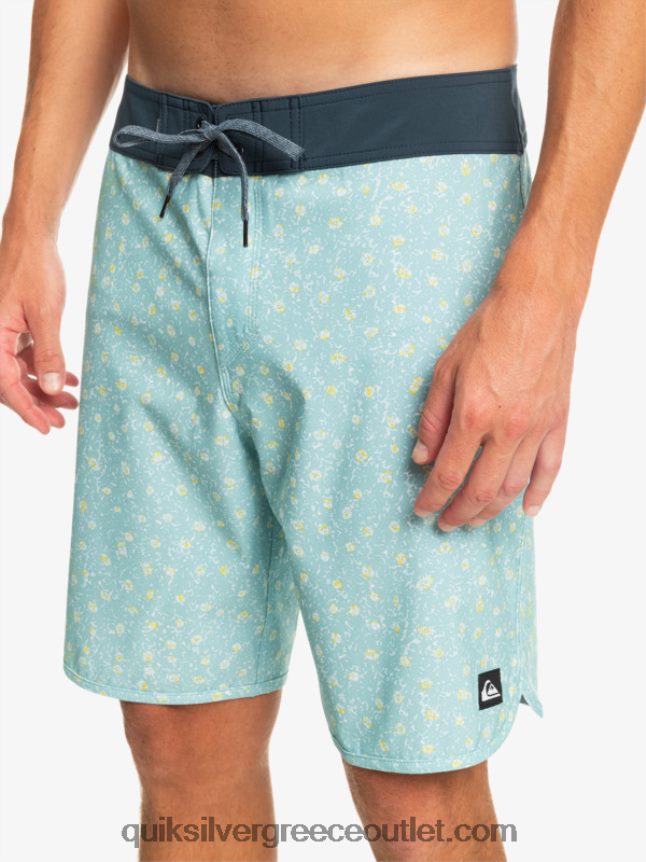 όστρακο surfsilk 19 boardshort Quiksilver άνδρες 66LP84220 μπλε του ουρανού