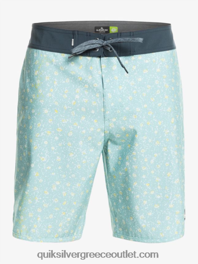 όστρακο surfsilk 19 boardshort Quiksilver άνδρες 66LP84220 μπλε του ουρανού