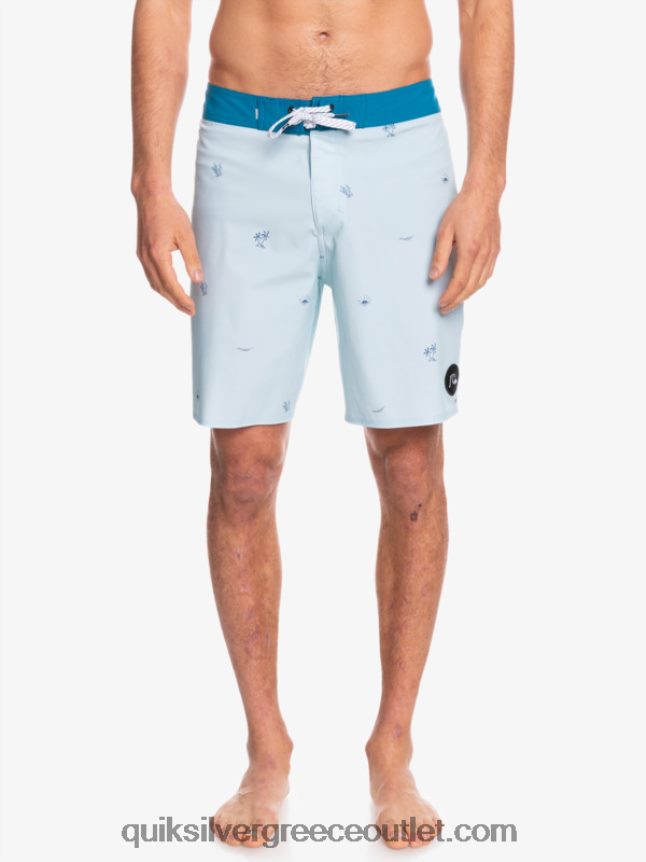 Το surfsilk απείχε 19 boardshorts Quiksilver άνδρες 66LP841812 μπλε γκρι