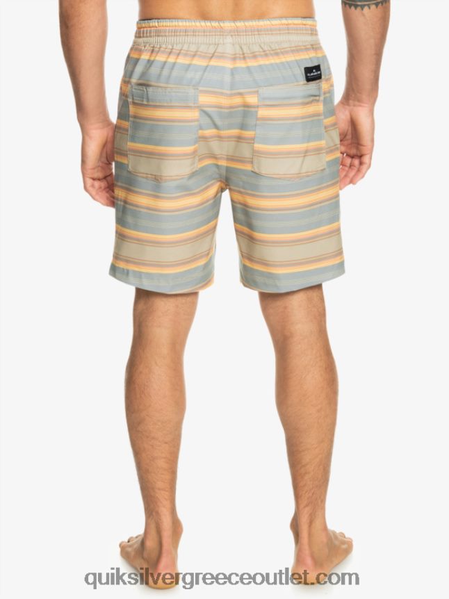 taxer print 18 αμφίβια boardshort Quiksilver άνδρες 66LP84104 plaza taupe surf days ρίγα