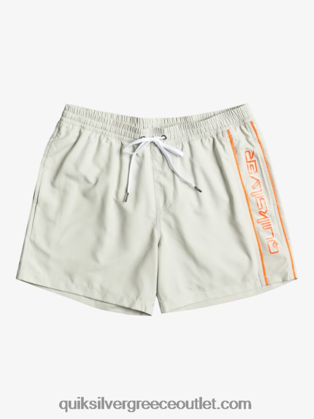 καθημερινό vert 16 βολέ Quiksilver άνδρες 66LP84700 γκρι βιολετί