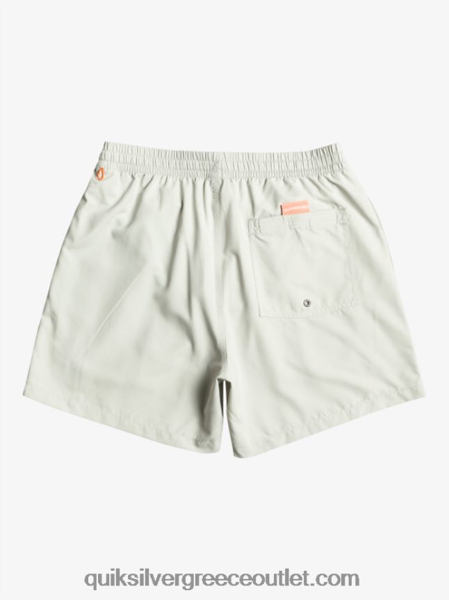 καθημερινό vert 16 βολέ Quiksilver άνδρες 66LP84700 γκρι βιολετί