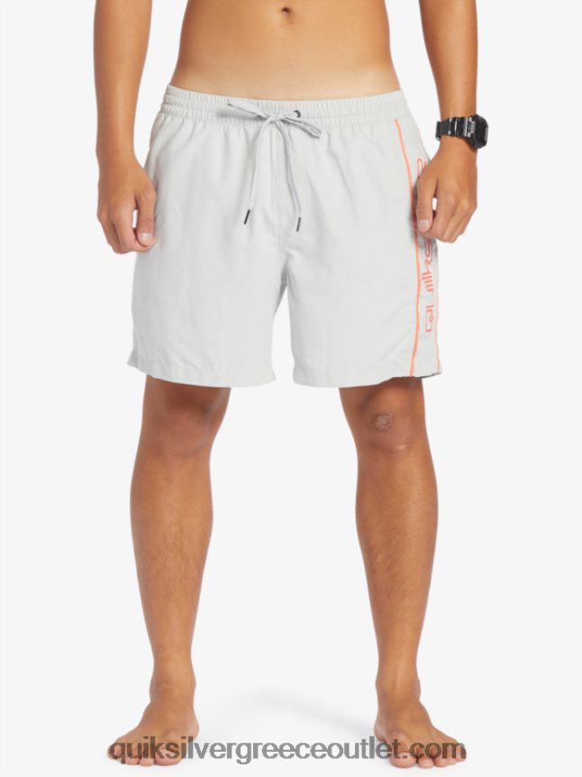 καθημερινό vert 16 βολέ Quiksilver άνδρες 66LP84700 γκρι βιολετί