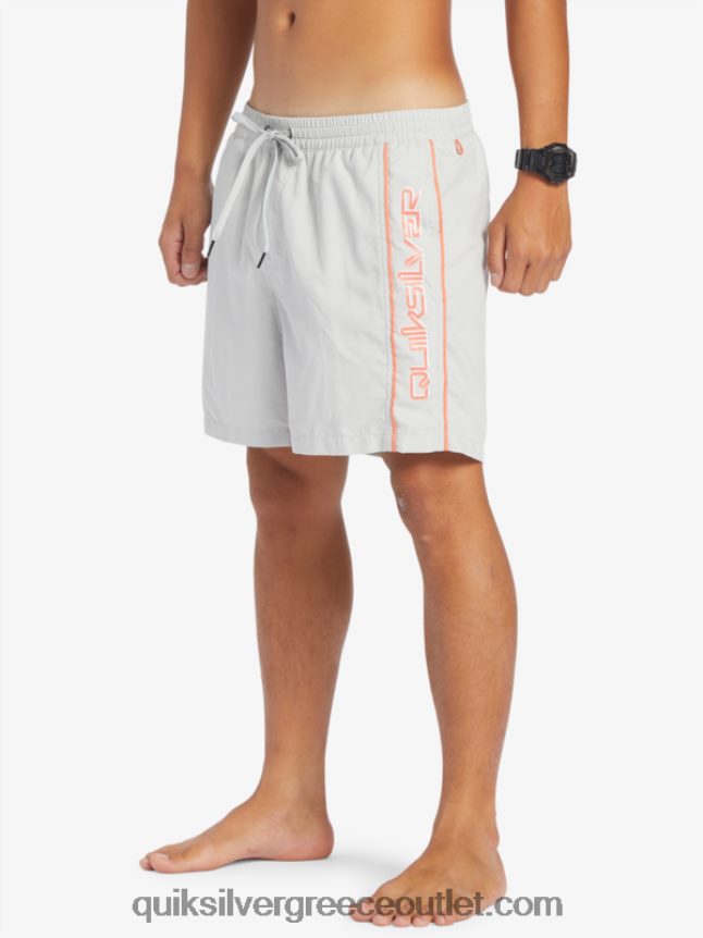 καθημερινό vert 16 βολέ Quiksilver άνδρες 66LP84700 γκρι βιολετί