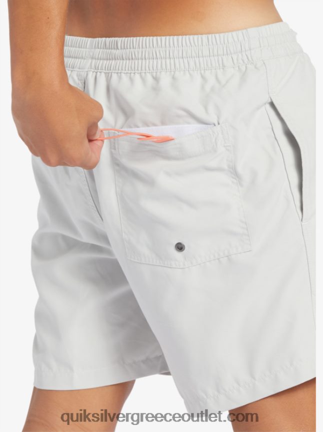 καθημερινό vert 16 βολέ Quiksilver άνδρες 66LP84700 γκρι βιολετί