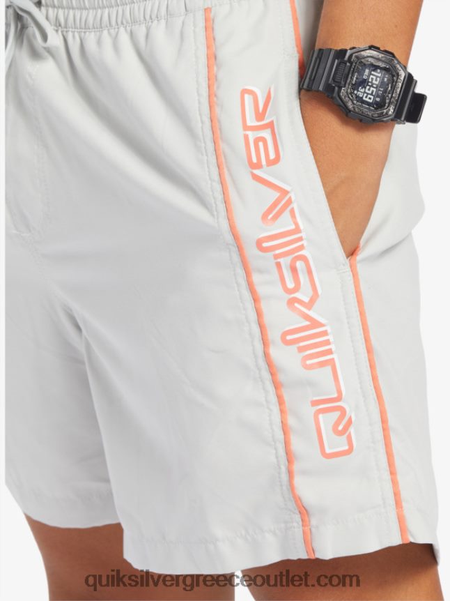 καθημερινό vert 16 βολέ Quiksilver άνδρες 66LP84700 γκρι βιολετί
