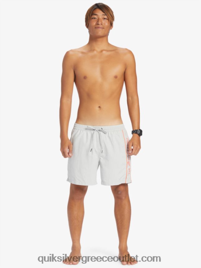 καθημερινό vert 16 βολέ Quiksilver άνδρες 66LP84700 γκρι βιολετί