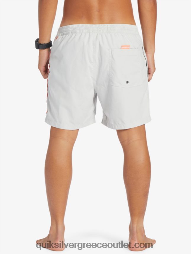καθημερινό vert 16 βολέ Quiksilver άνδρες 66LP84700 γκρι βιολετί