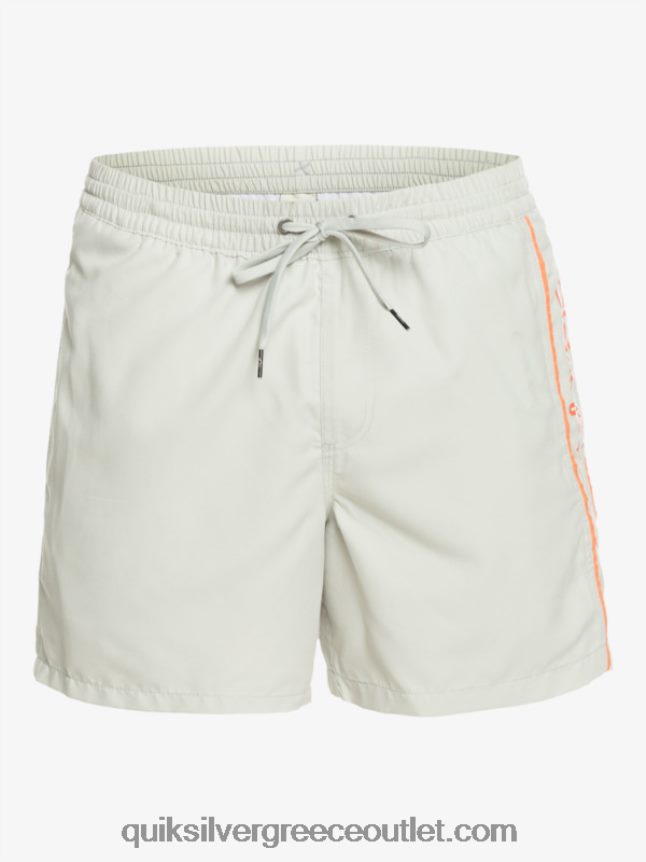 καθημερινό vert 16 βολέ Quiksilver άνδρες 66LP84700 γκρι βιολετί
