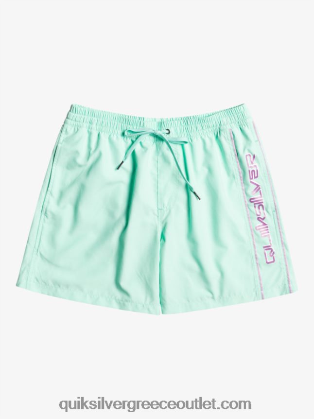 καθημερινό vert 16 βολέ Quiksilver άνδρες 66LP84702 γυαλί παραλίας