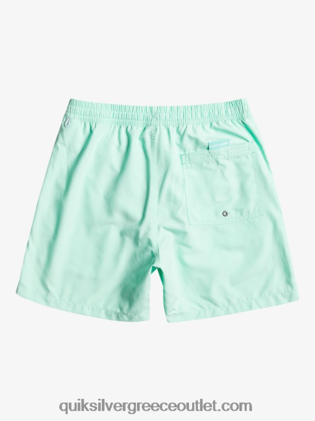 καθημερινό vert 16 βολέ Quiksilver άνδρες 66LP84702 γυαλί παραλίας