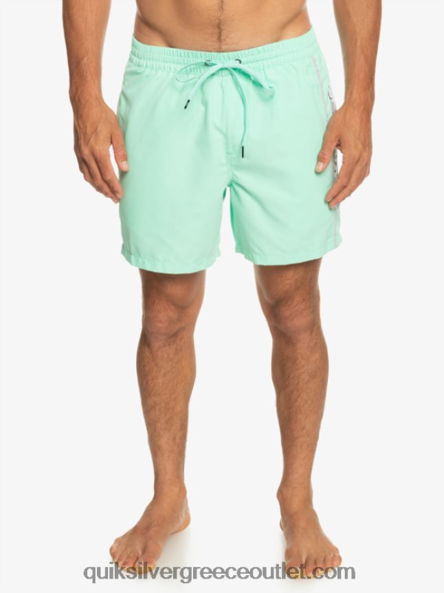καθημερινό vert 16 βολέ Quiksilver άνδρες 66LP84702 γυαλί παραλίας