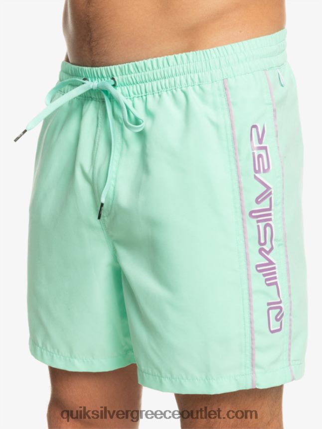 καθημερινό vert 16 βολέ Quiksilver άνδρες 66LP84702 γυαλί παραλίας