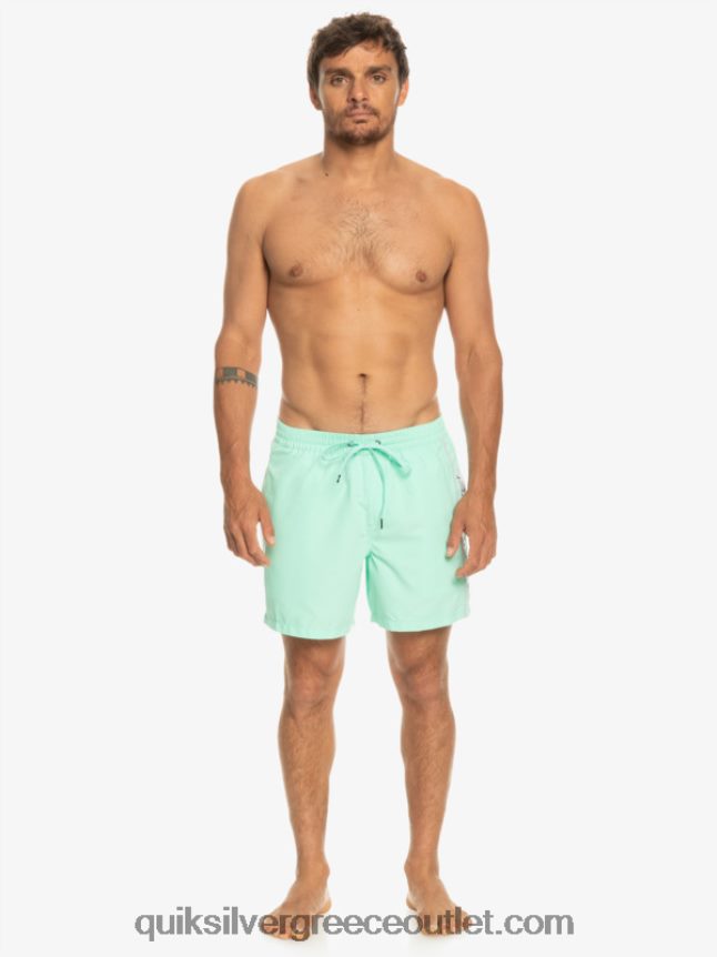 καθημερινό vert 16 βολέ Quiksilver άνδρες 66LP84702 γυαλί παραλίας