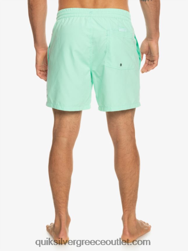 καθημερινό vert 16 βολέ Quiksilver άνδρες 66LP84702 γυαλί παραλίας