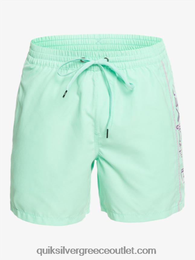 καθημερινό vert 16 βολέ Quiksilver άνδρες 66LP84702 γυαλί παραλίας