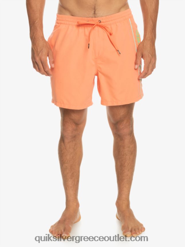 καθημερινό vert 16 βολέ Quiksilver άνδρες 66LP84703 φρέσκος σολομός