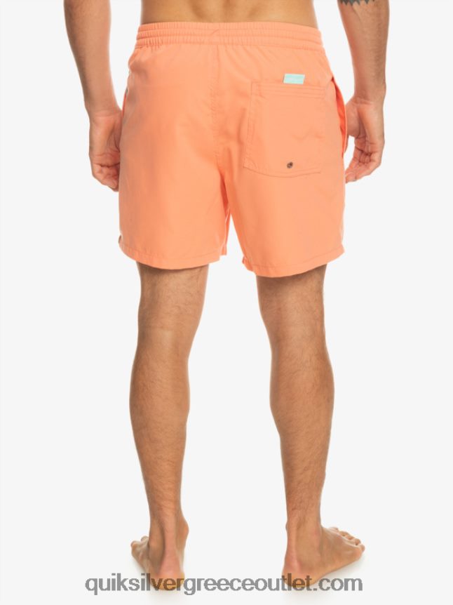 καθημερινό vert 16 βολέ Quiksilver άνδρες 66LP84703 φρέσκος σολομός