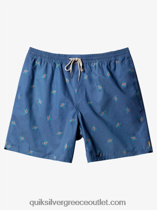 waterman μικρά πετάλια 17 βολέ Quiksilver άνδρες 66LP84395 σημαία μπλε μικρά πετάλια v