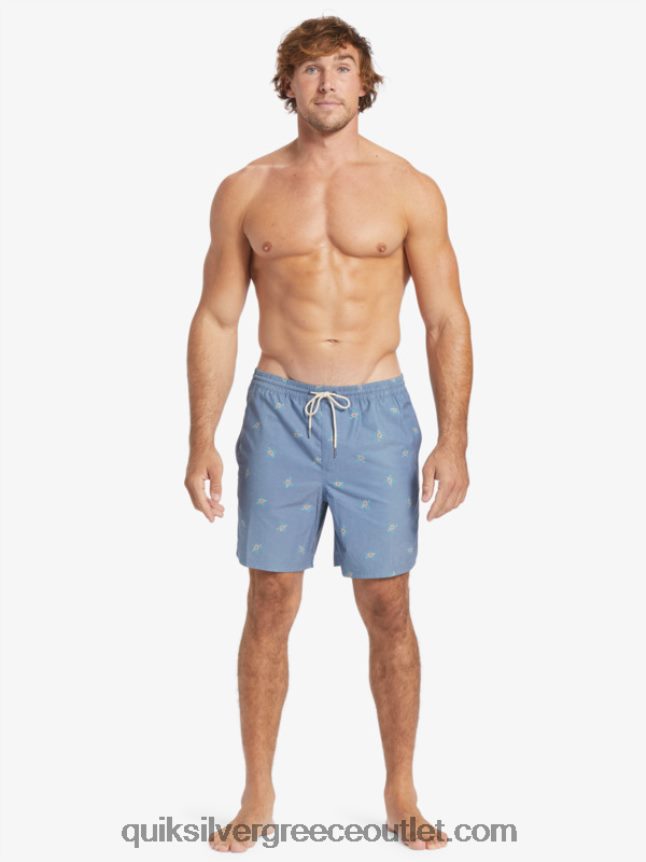 waterman μικρά πετάλια 17 βολέ Quiksilver άνδρες 66LP84395 σημαία μπλε μικρά πετάλια v