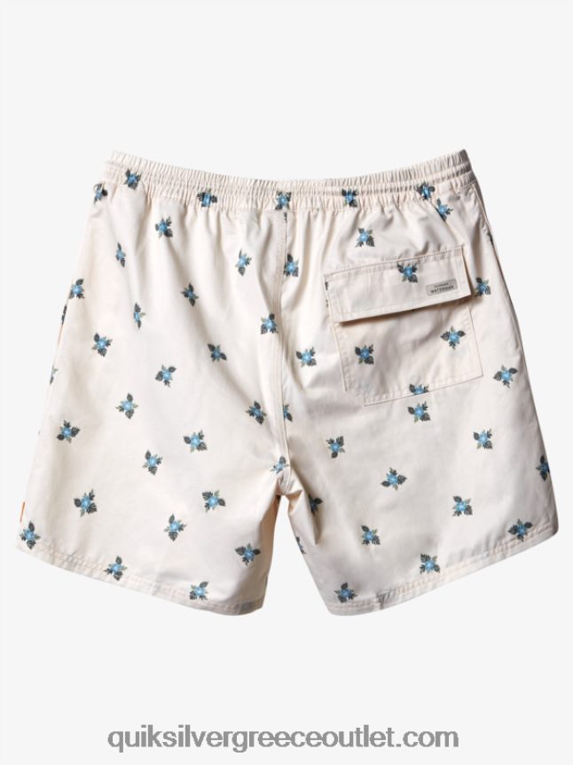 waterman μικρά πετάλια 17 βολέ Quiksilver άνδρες 66LP84397 αντίκα λευκά μικρά πετάλια v
