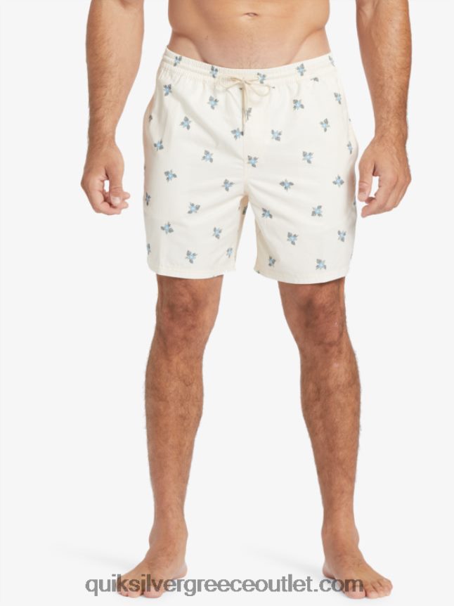 waterman μικρά πετάλια 17 βολέ Quiksilver άνδρες 66LP84397 αντίκα λευκά μικρά πετάλια v