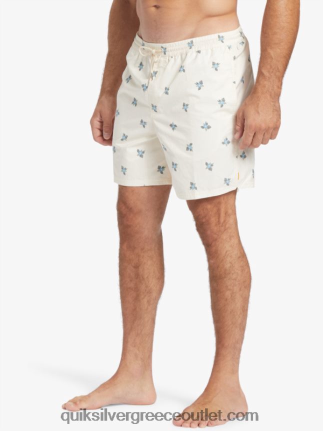 waterman μικρά πετάλια 17 βολέ Quiksilver άνδρες 66LP84397 αντίκα λευκά μικρά πετάλια v