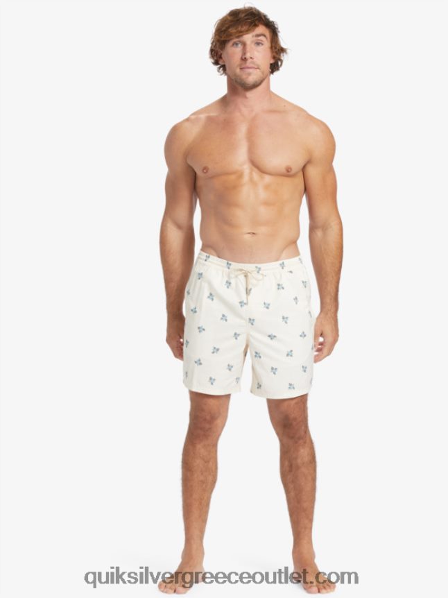 waterman μικρά πετάλια 17 βολέ Quiksilver άνδρες 66LP84397 αντίκα λευκά μικρά πετάλια v