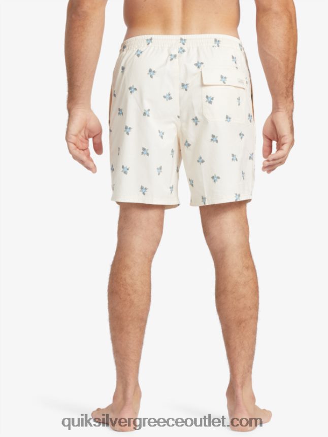 waterman μικρά πετάλια 17 βολέ Quiksilver άνδρες 66LP84397 αντίκα λευκά μικρά πετάλια v