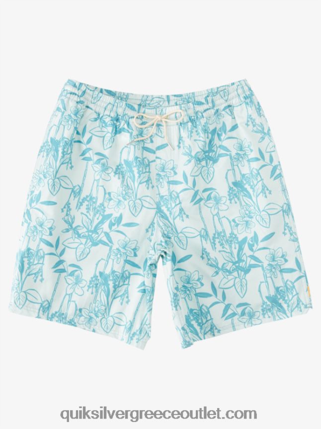 waterman χαλαροί τρόποι 17 βολέ Quiksilver άνδρες 66LP84939 λεπτή πράσινη looseways vy