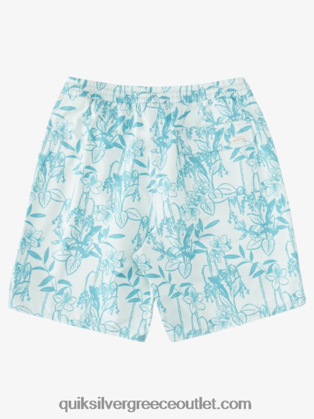 waterman χαλαροί τρόποι 17 βολέ Quiksilver άνδρες 66LP84939 λεπτή πράσινη looseways vy