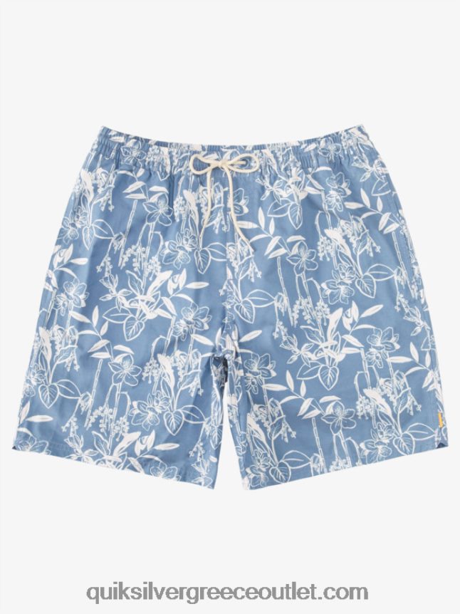 waterman χαλαροί τρόποι 17 βολέ Quiksilver άνδρες 66LP84940 σημαία μπλε χαλαροί τρόποι vy