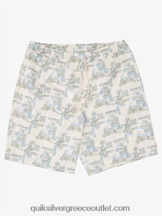 waterman πέτρινα βήματα 19 βόλεϊ Quiksilver άνδρες 66LP841367 tea stonesteps vol