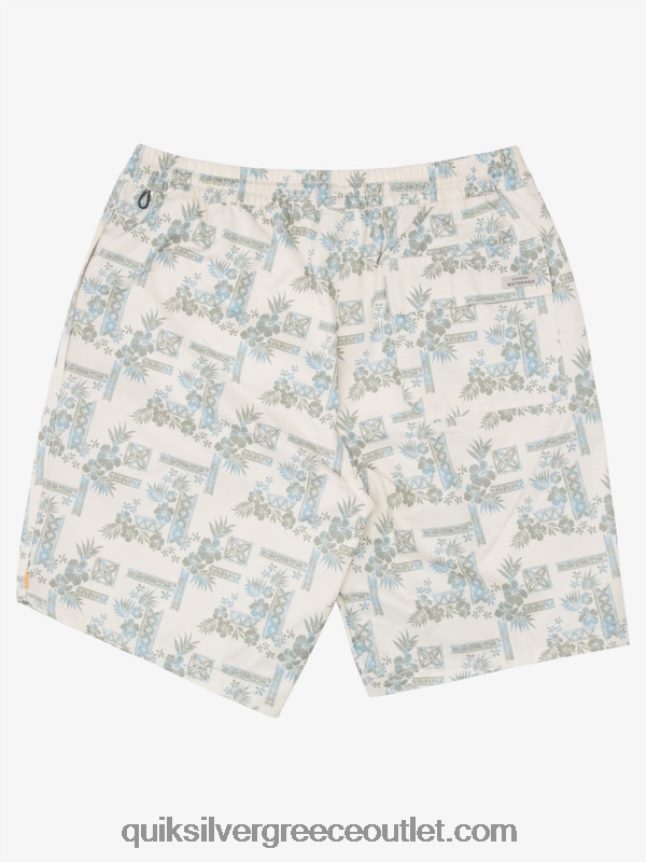 waterman πέτρινα βήματα 19 βόλεϊ Quiksilver άνδρες 66LP841367 tea stonesteps vol