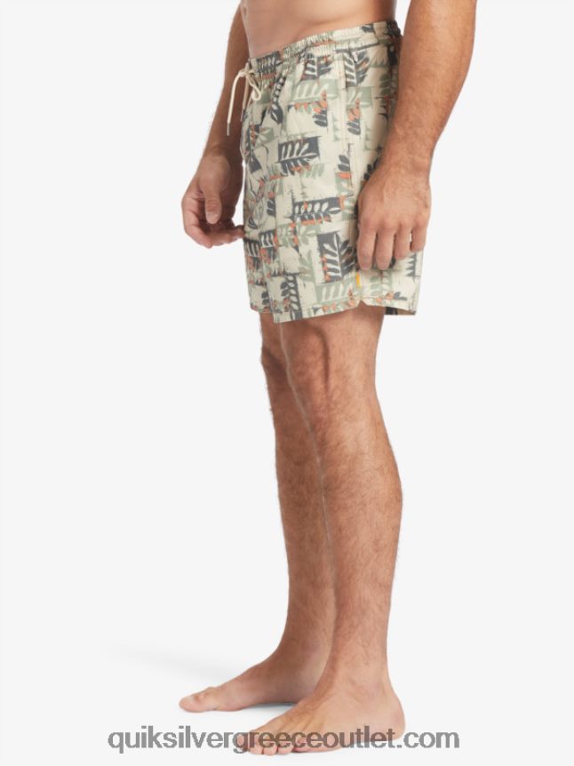 waterman canoes reef 17 volley Quiksilver άνδρες 66LP84546 κανό καφέ ρυζιού