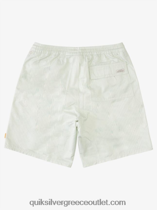waterman deck stripe 19 volleys Quiksilver άνδρες 66LP841843 λεπτή πράσινη λωρίδα καταστρώματος