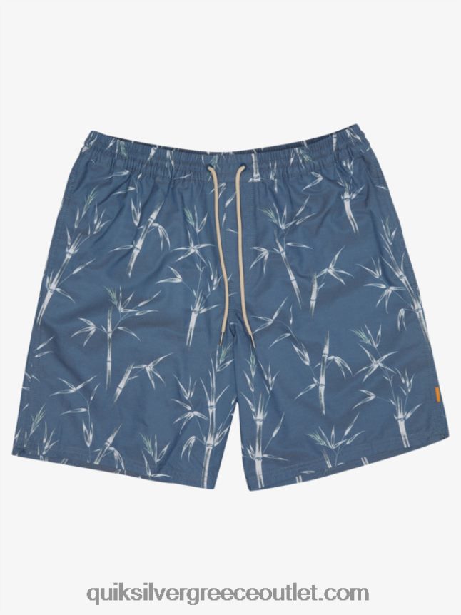 waterman pre chopsticks 19 volley Quiksilver άνδρες 66LP841841 σημαία μπλε prechopstick vol