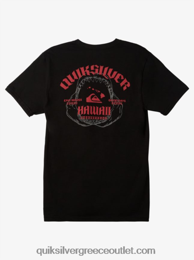 μπλουζάκι της Χαβάης Quiksilver άνδρες 66LP841421 μαύρος