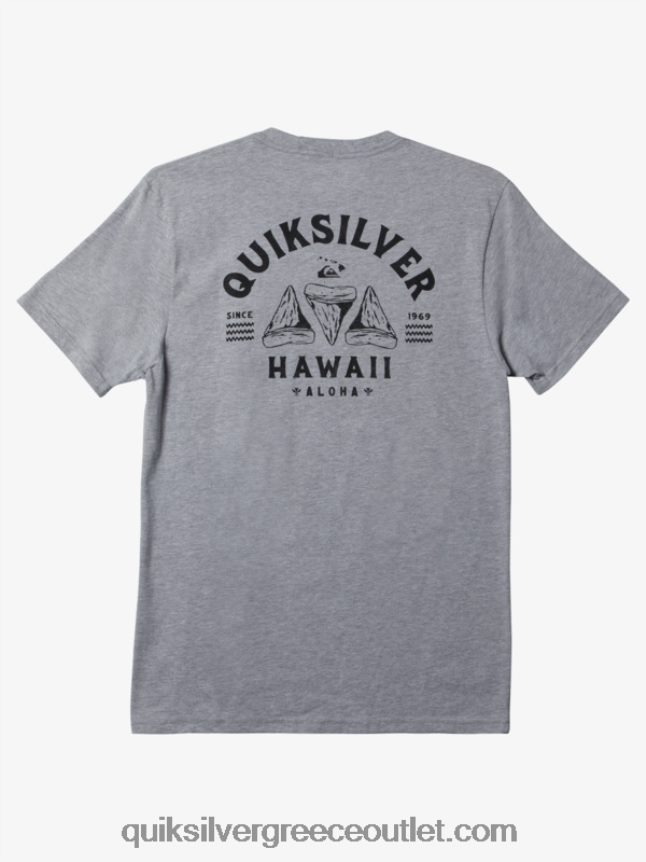 μπλουζάκι με ξυράφι της Χαβάης Quiksilver άνδρες 66LP84163 αθλητικό ρείκι