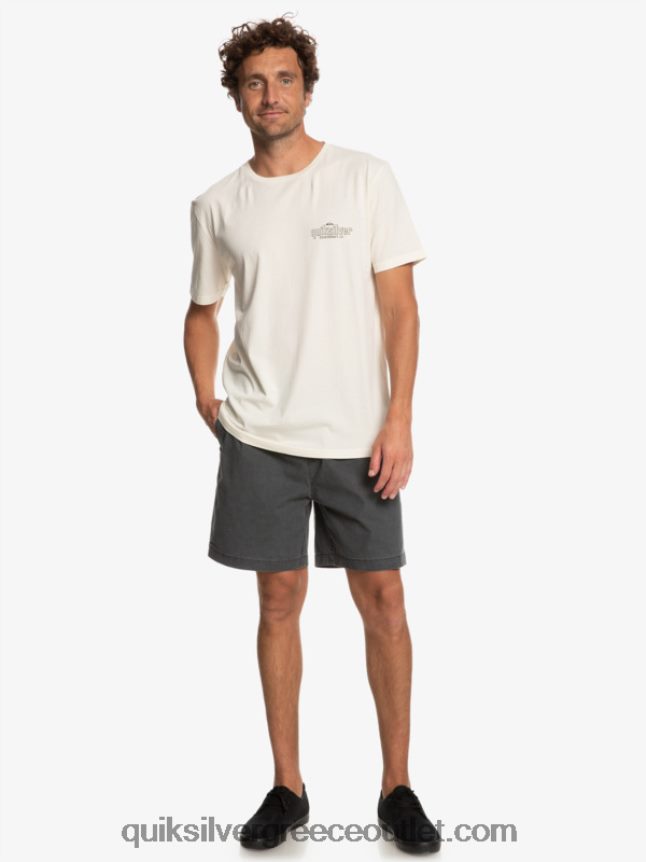 μπλουζάκι με λέξεις Quiksilver άνδρες 66LP84934 σημύδα