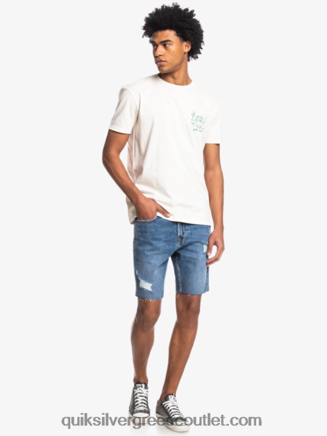 T-shirt με κρυφό μήνυμα Quiksilver άνδρες 66LP841762 σημύδα