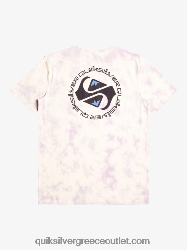 omni κύκλο μπλουζάκι Quiksilver άνδρες 66LP841071 σημύδα