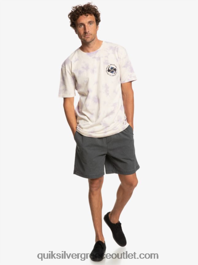 omni κύκλο μπλουζάκι Quiksilver άνδρες 66LP841071 σημύδα