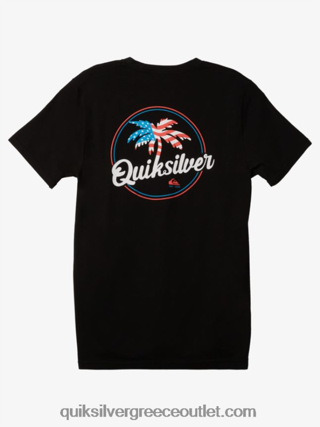 palm breezy t-shirt Quiksilver άνδρες 66LP84237 μαύρος