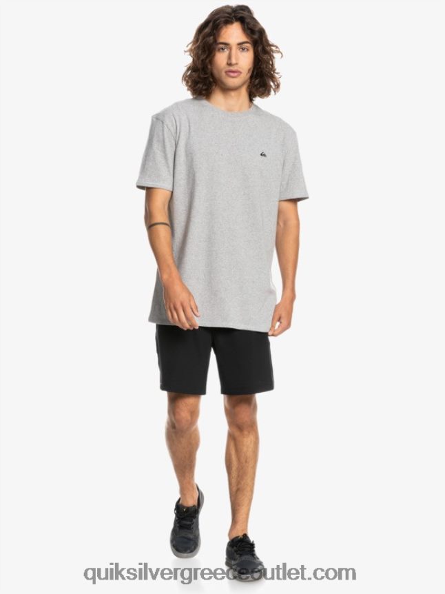 μπλουζάκι proform Quiksilver άνδρες 66LP841570 ανοιχτό γκρι ρείκι